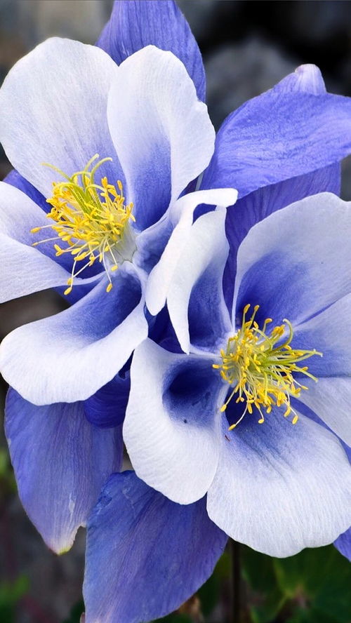 Clothing and Accessories